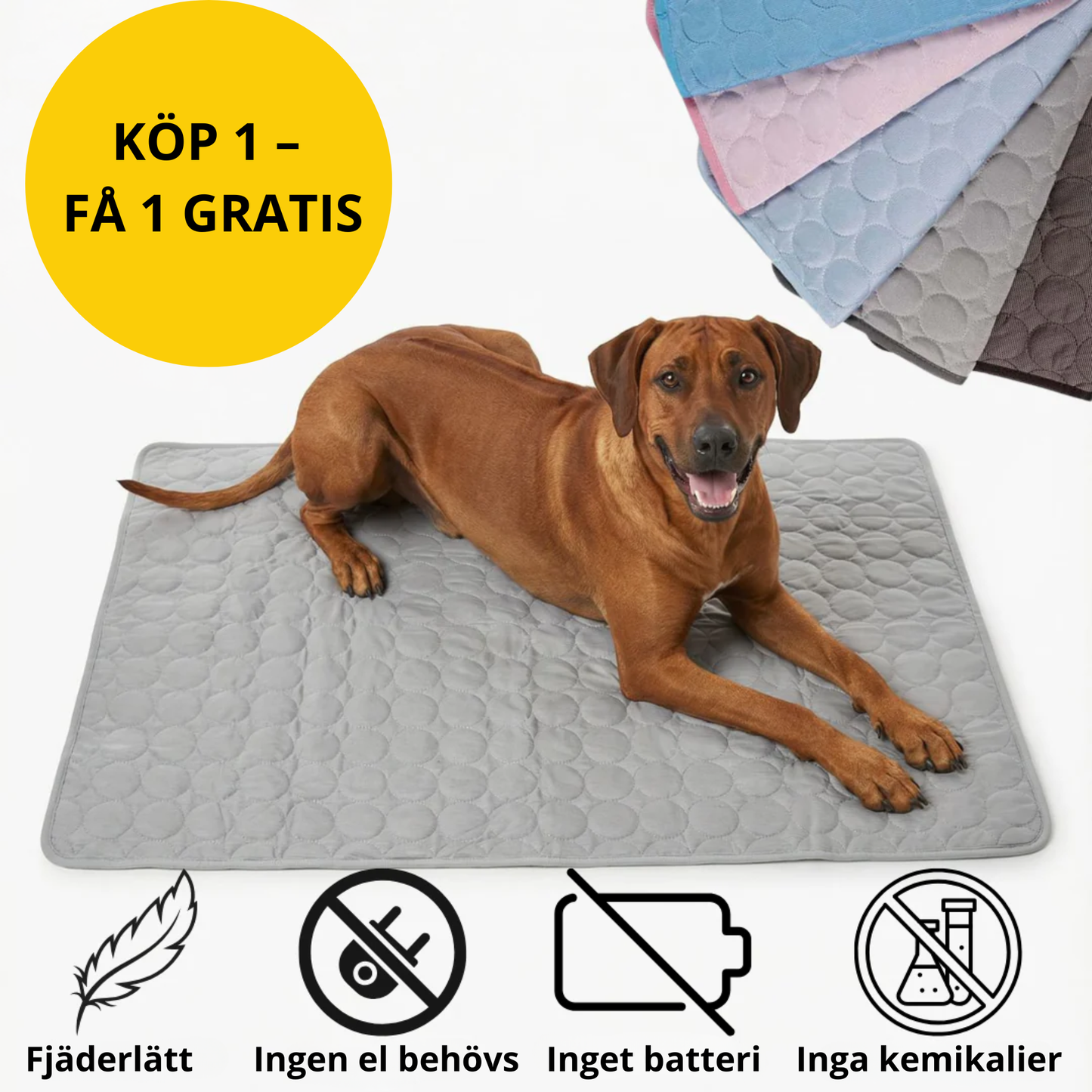 Kylepet Svalkis – Kylmatta för Hund
