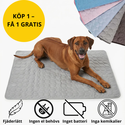 Kylepet Svalkis – Kylmatta för Hund